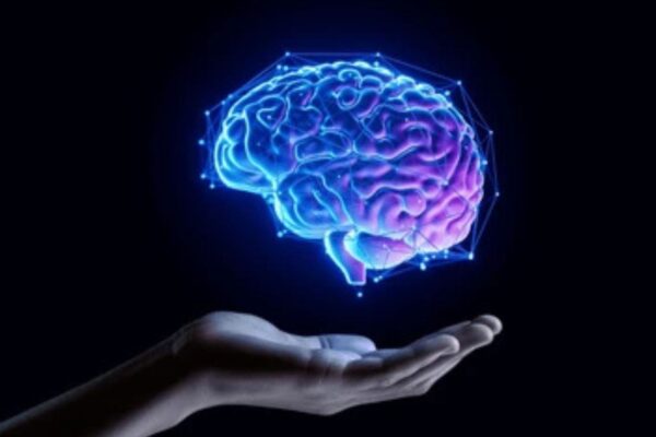 Inside the Human Brain: The Science of Consciousness and Memory